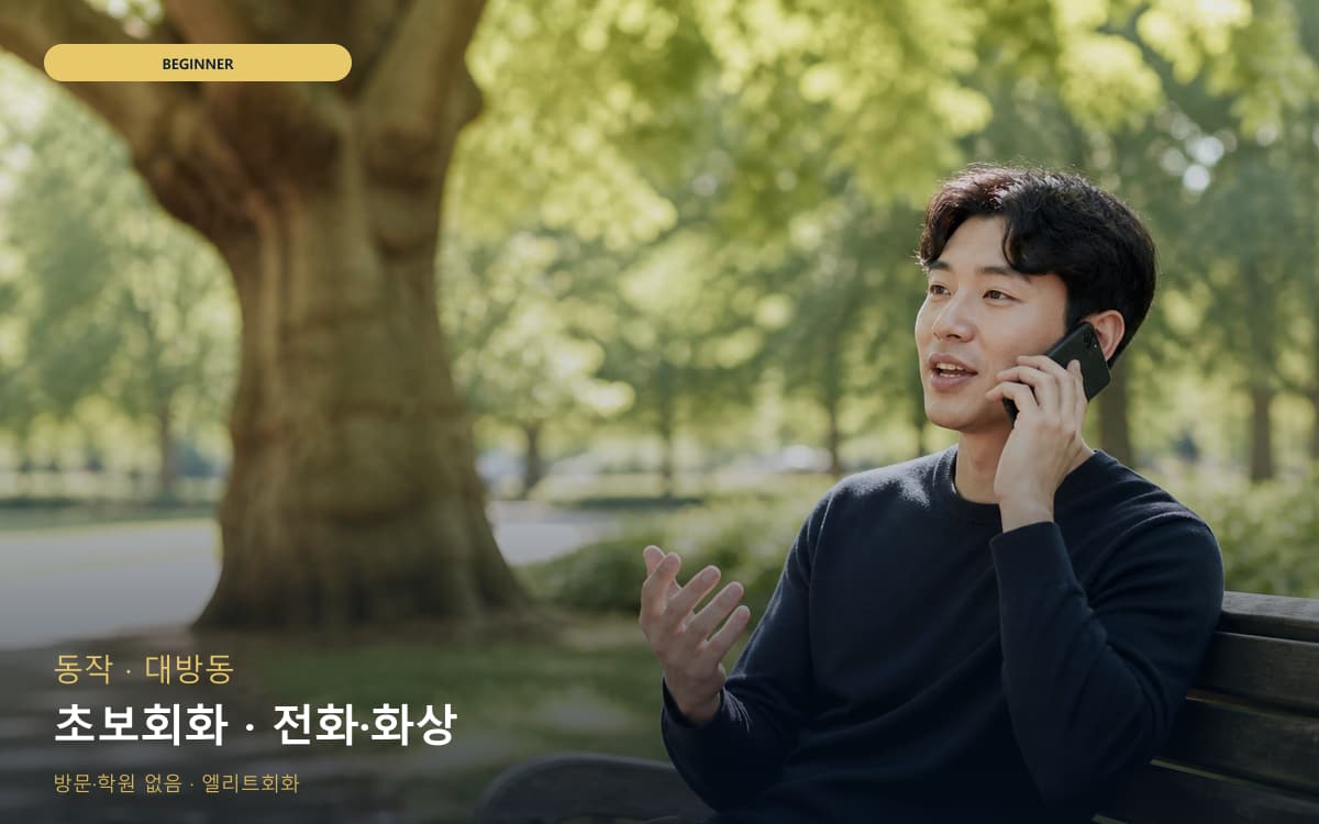 용상동 용상동 성인 시작 포인트