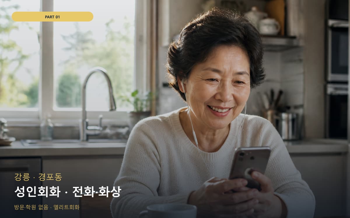 성인회화 · 전화·화상