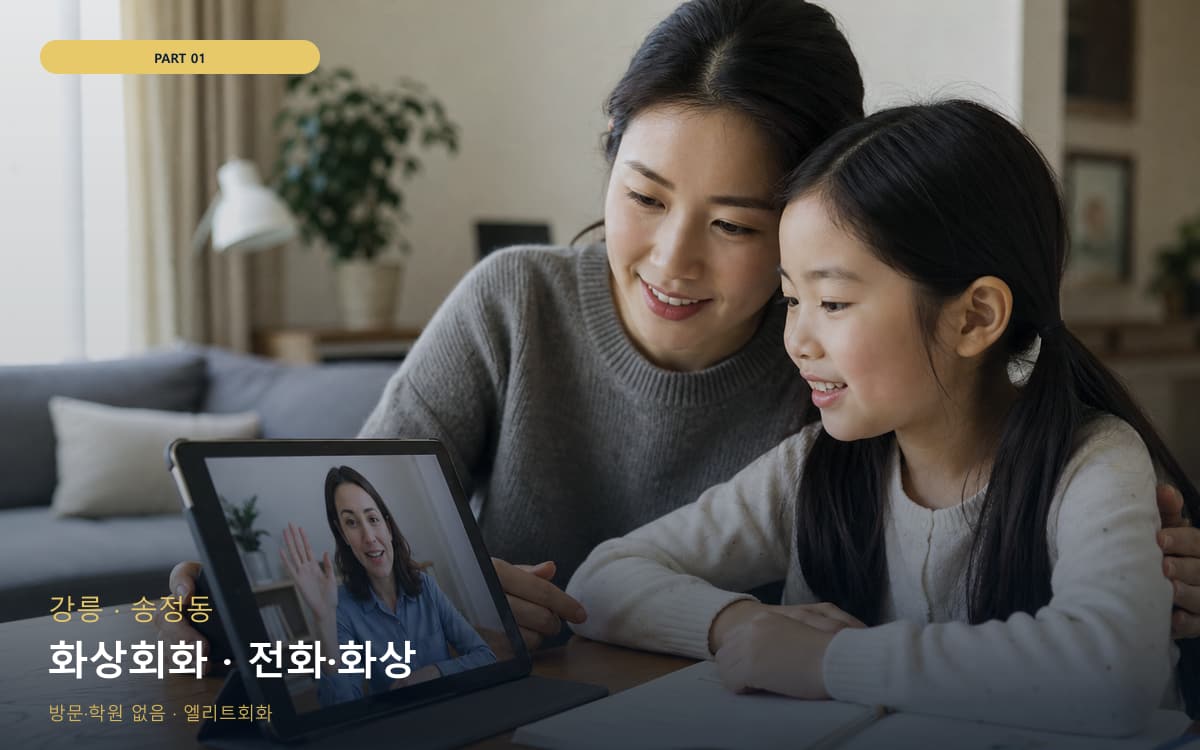 화상회화 · 전화·화상