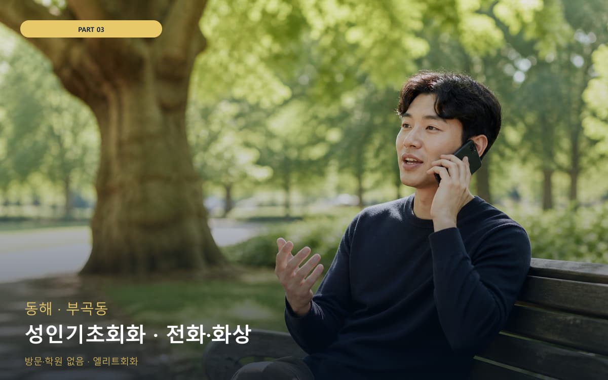 성인기초회화 · 전화·화상