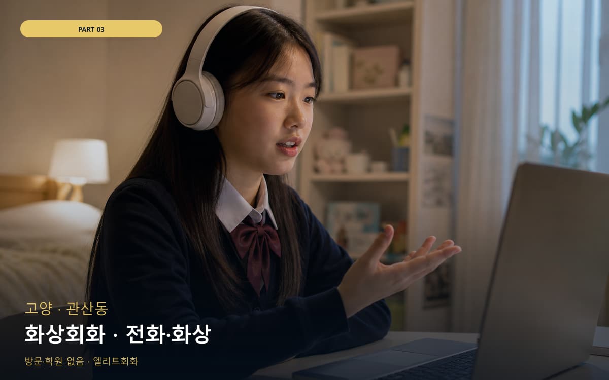 화상회화 · 전화·화상
