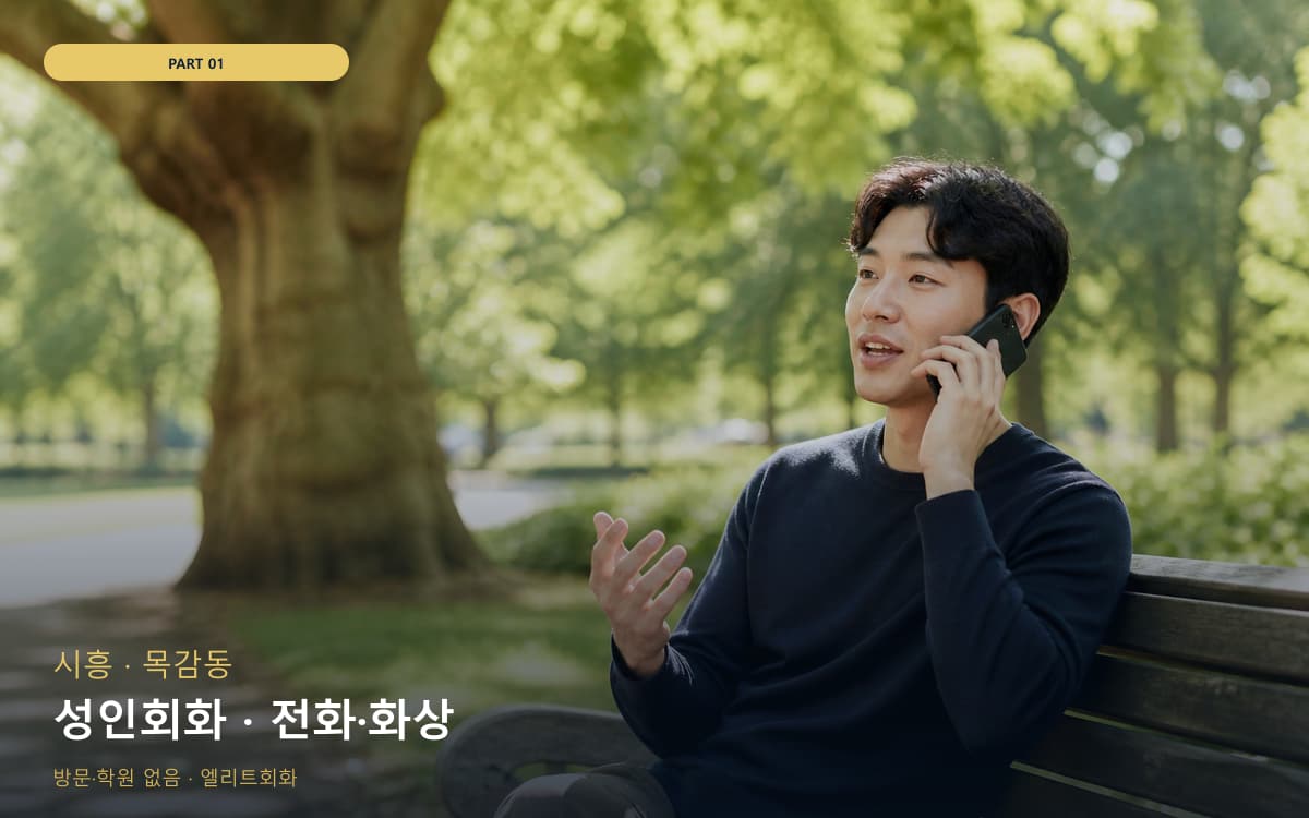 성인회화 · 전화·화상