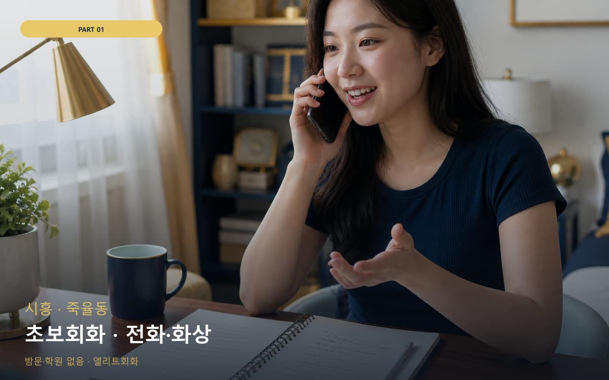 초보회화 · 전화·화상