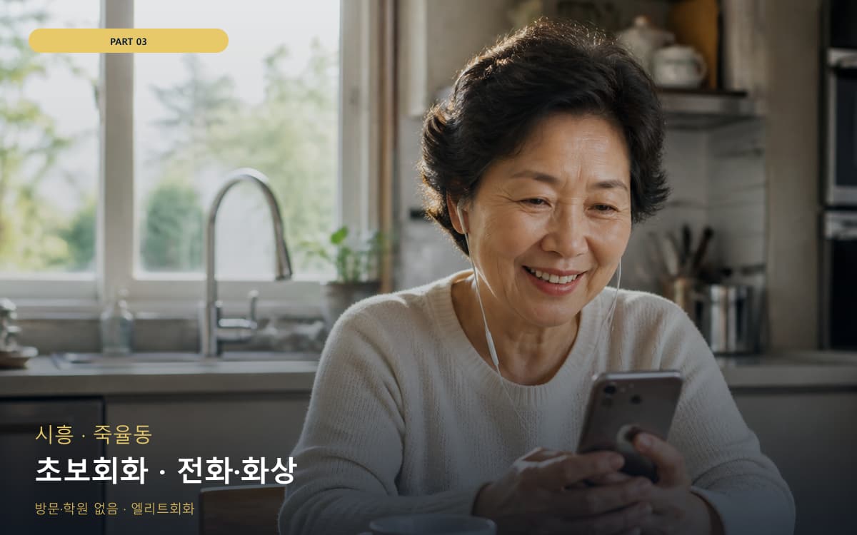 초보회화 · 전화·화상