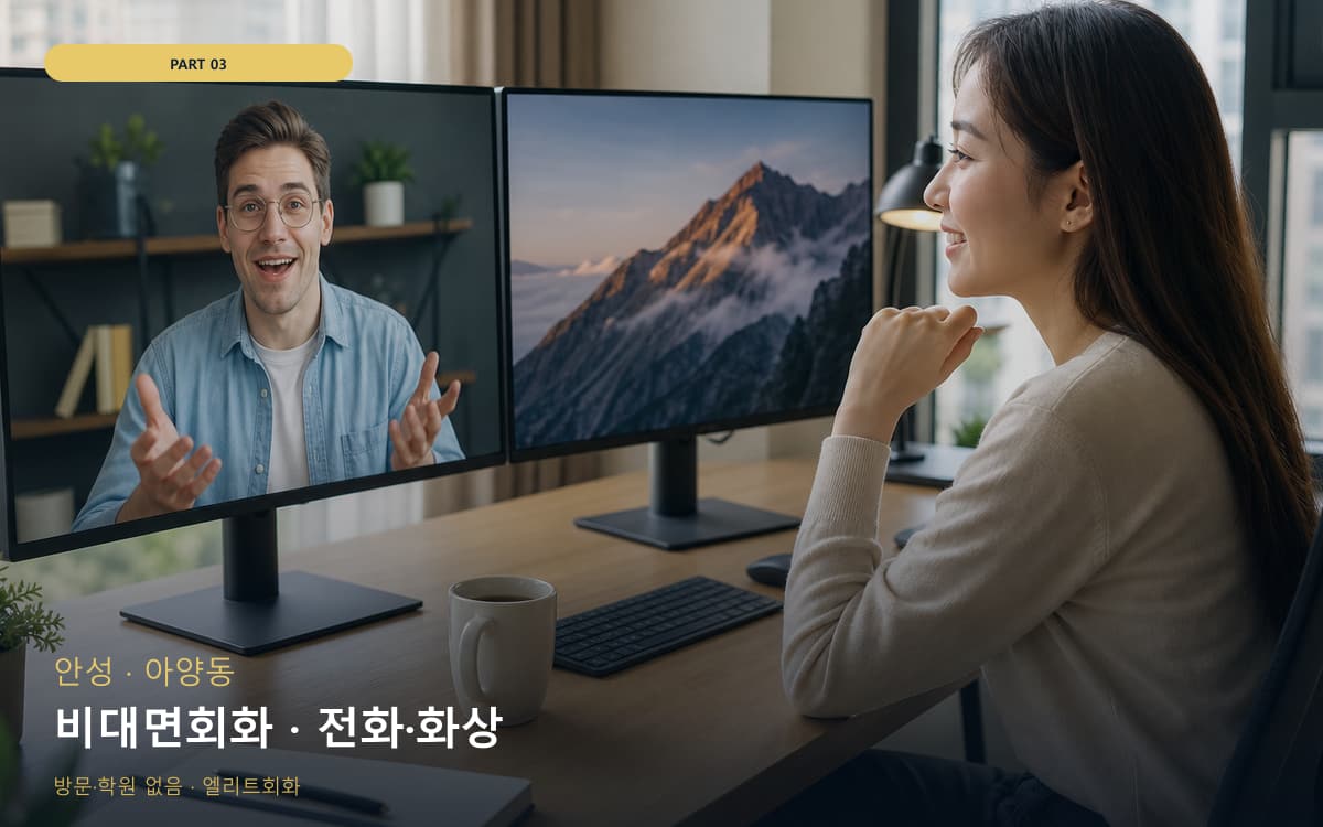 비대면회화 · 전화·화상