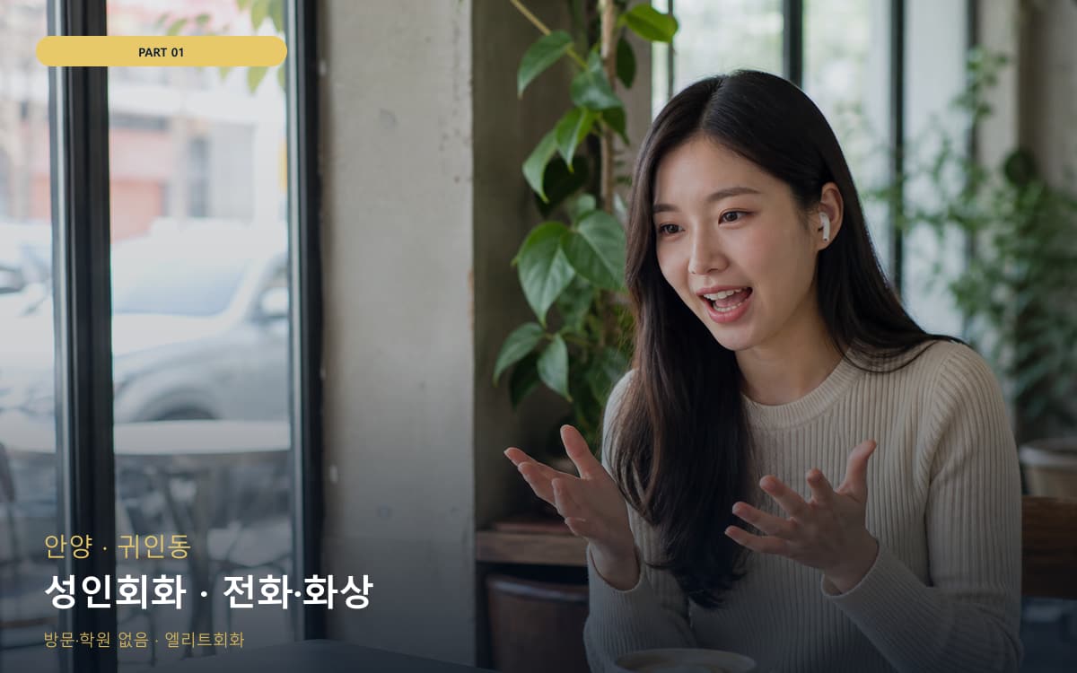 성인회화 · 전화·화상