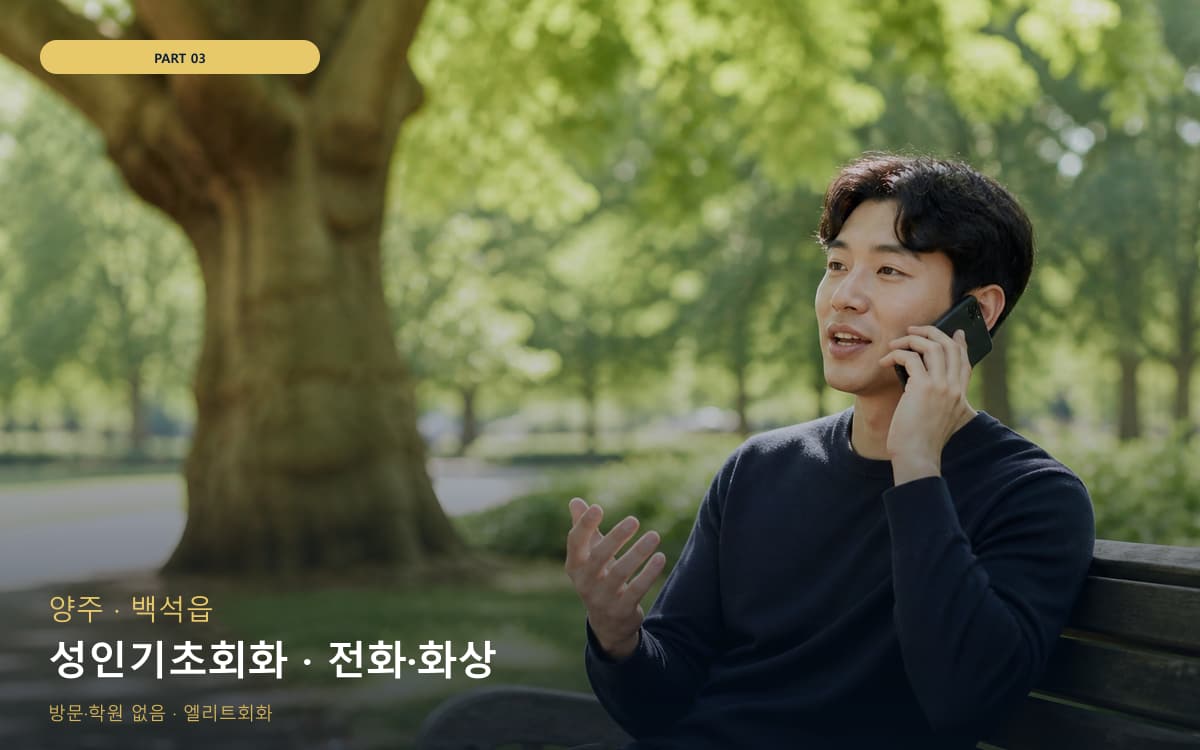 성인기초회화 · 전화·화상