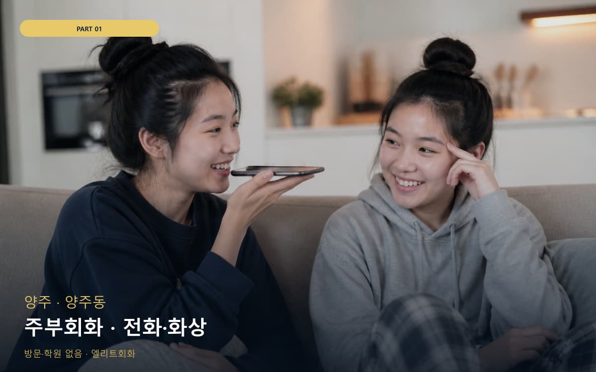 주부회화 · 전화·화상