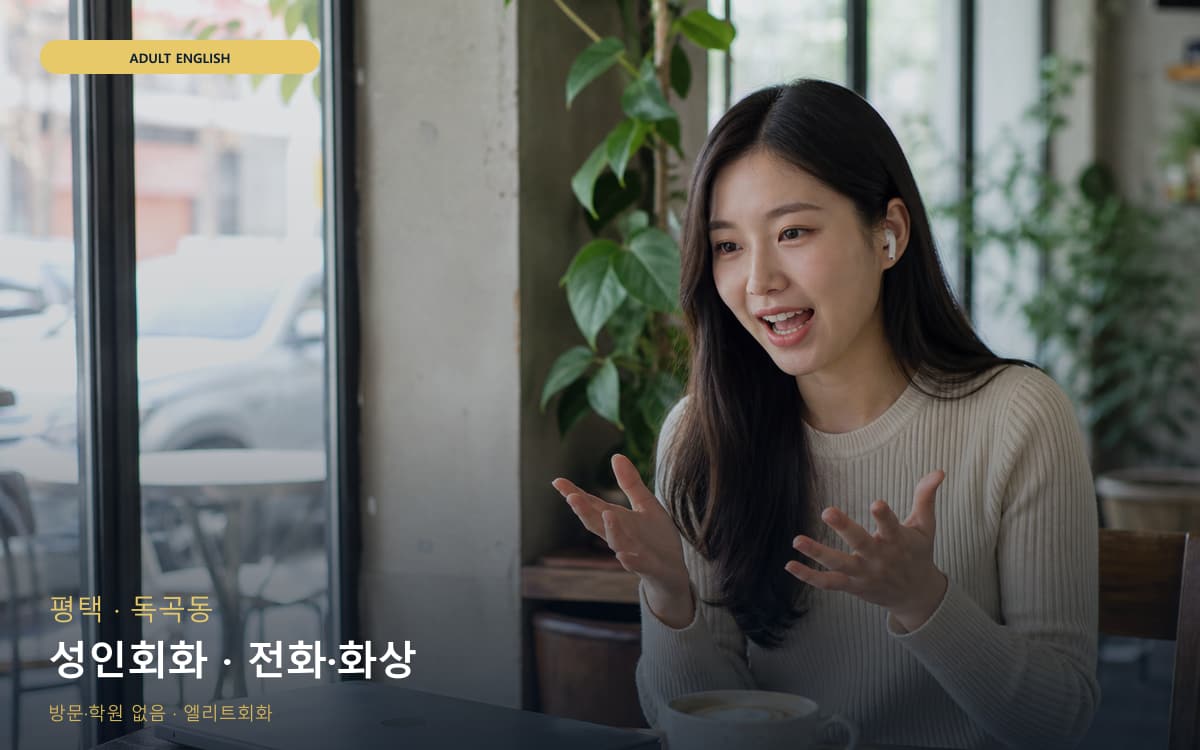 평택 포승읍 성인회화 비즈니스표현 레벨테스트 