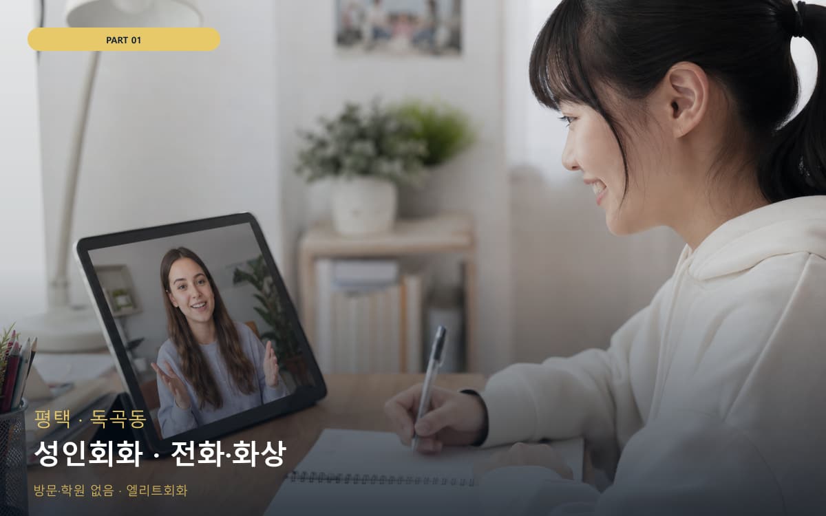성인회화 · 전화·화상