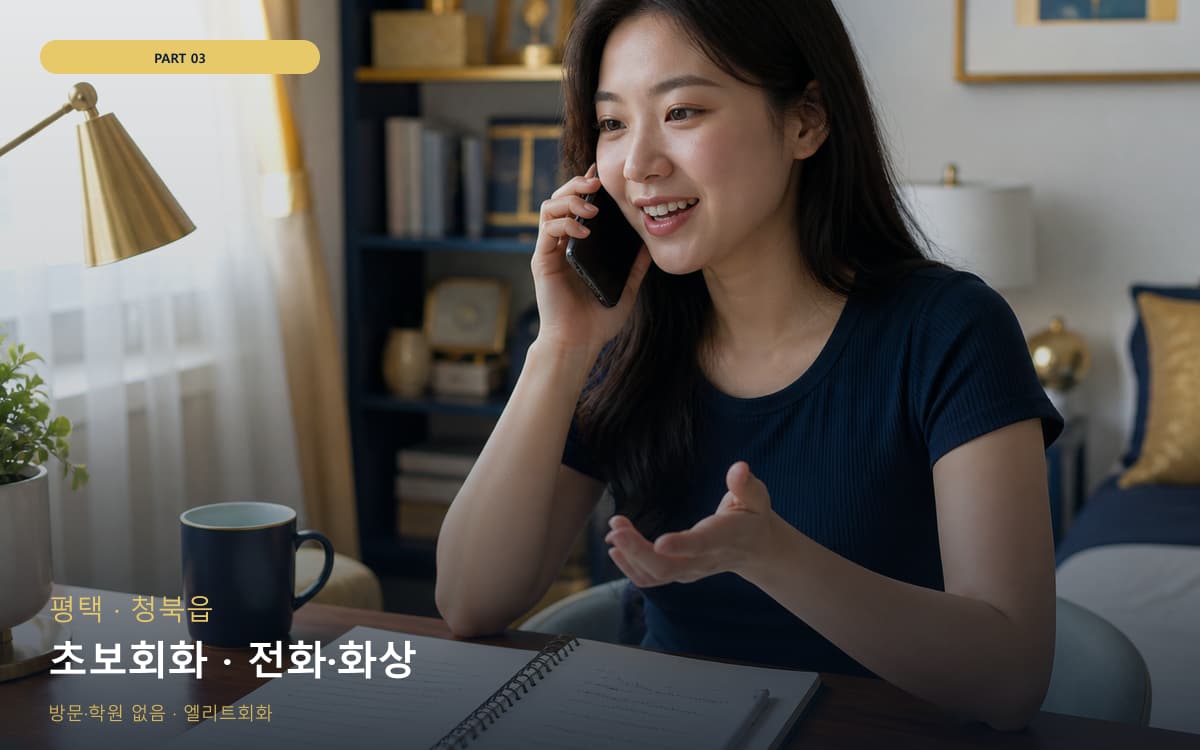초보회화 · 전화·화상