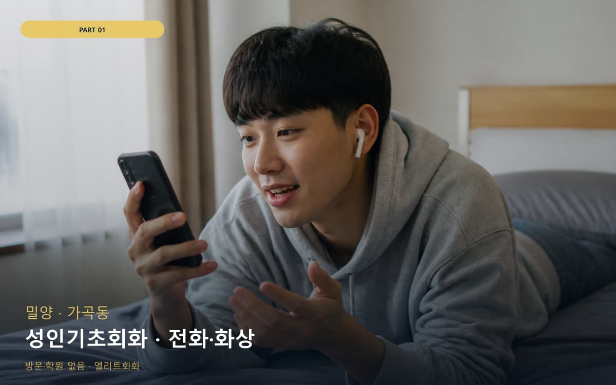 성인기초회화 · 전화·화상