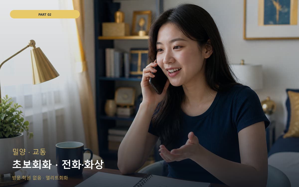 초보회화 · 전화·화상
