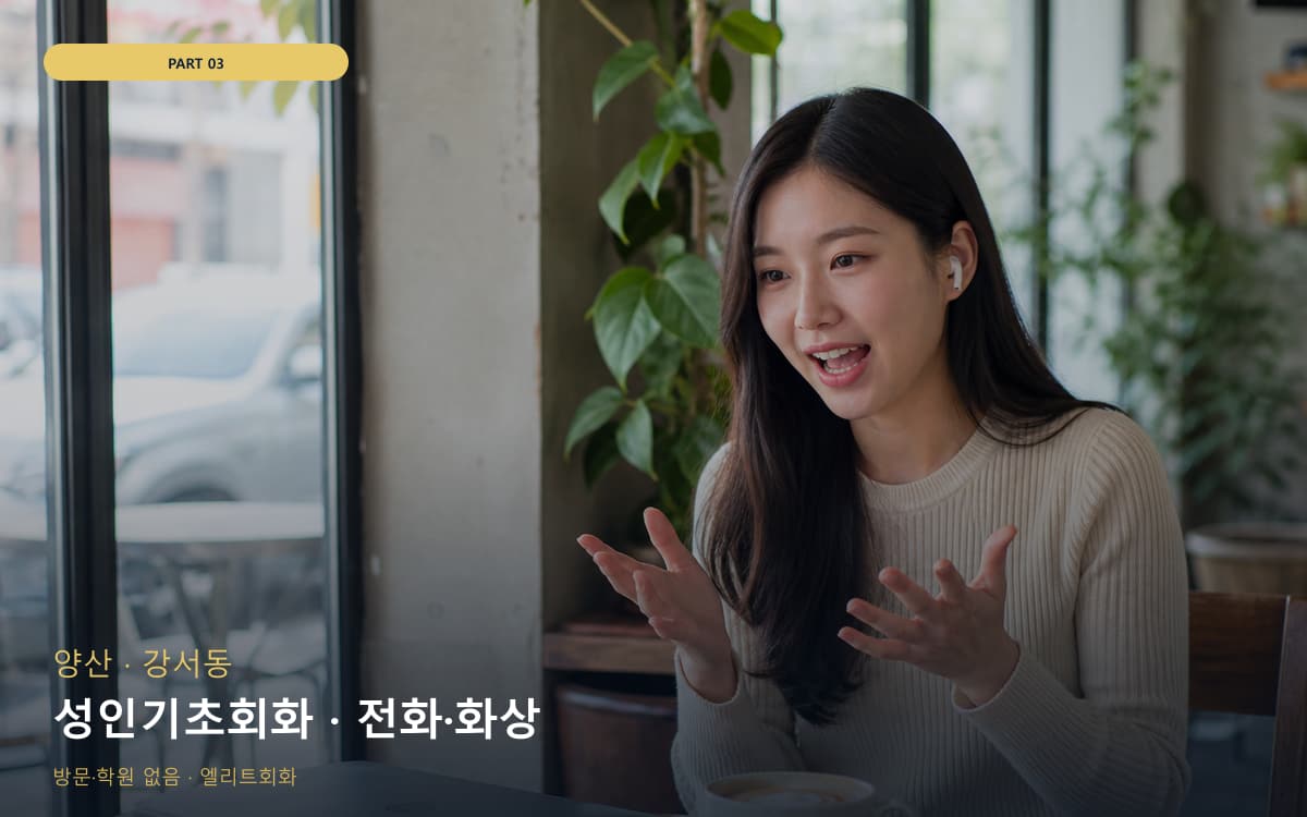 성인기초회화 · 전화·화상