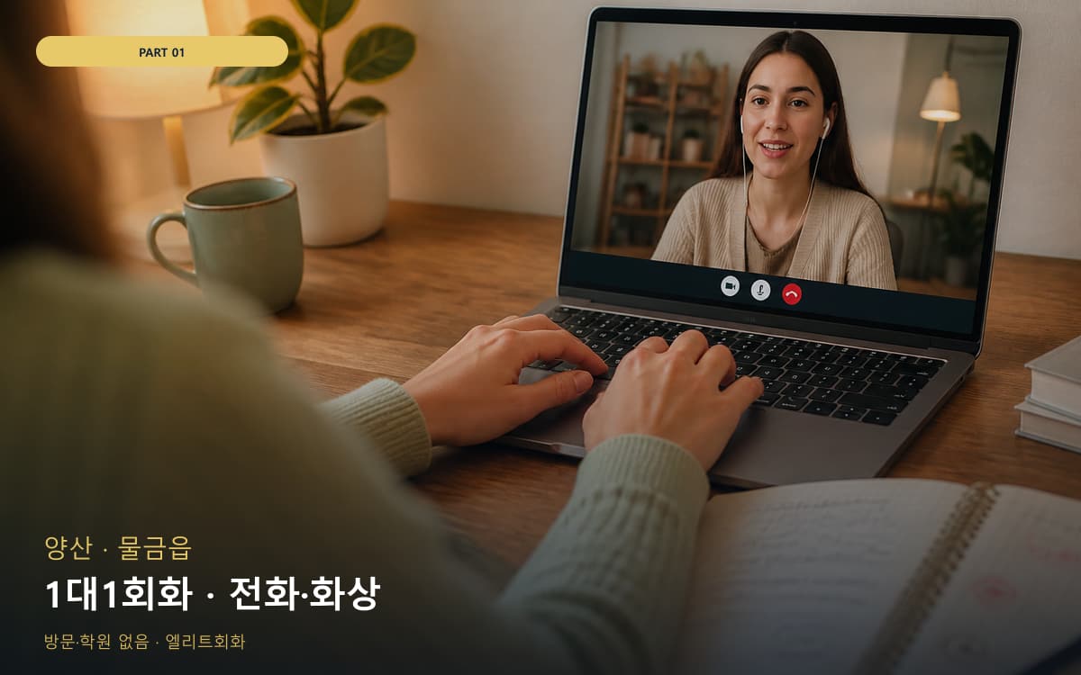 1대1회화 · 전화·화상