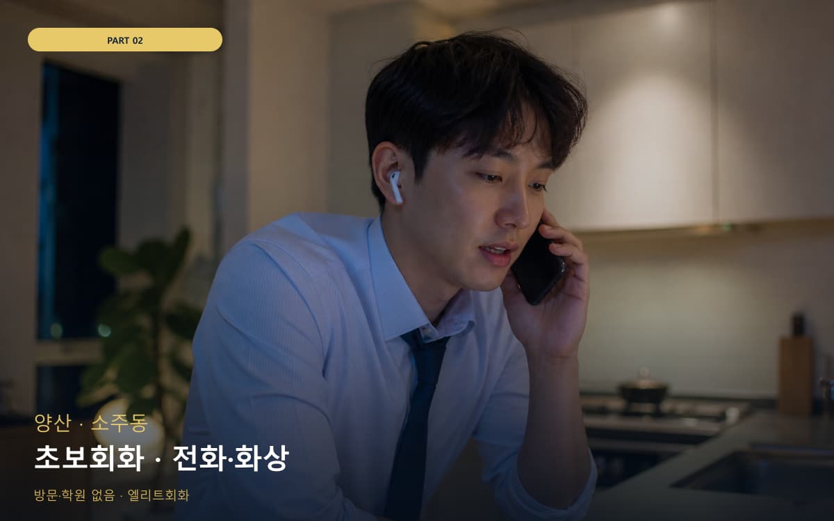초보회화 · 전화·화상