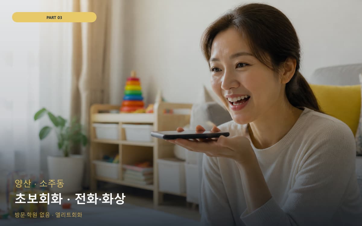 초보회화 · 전화·화상
