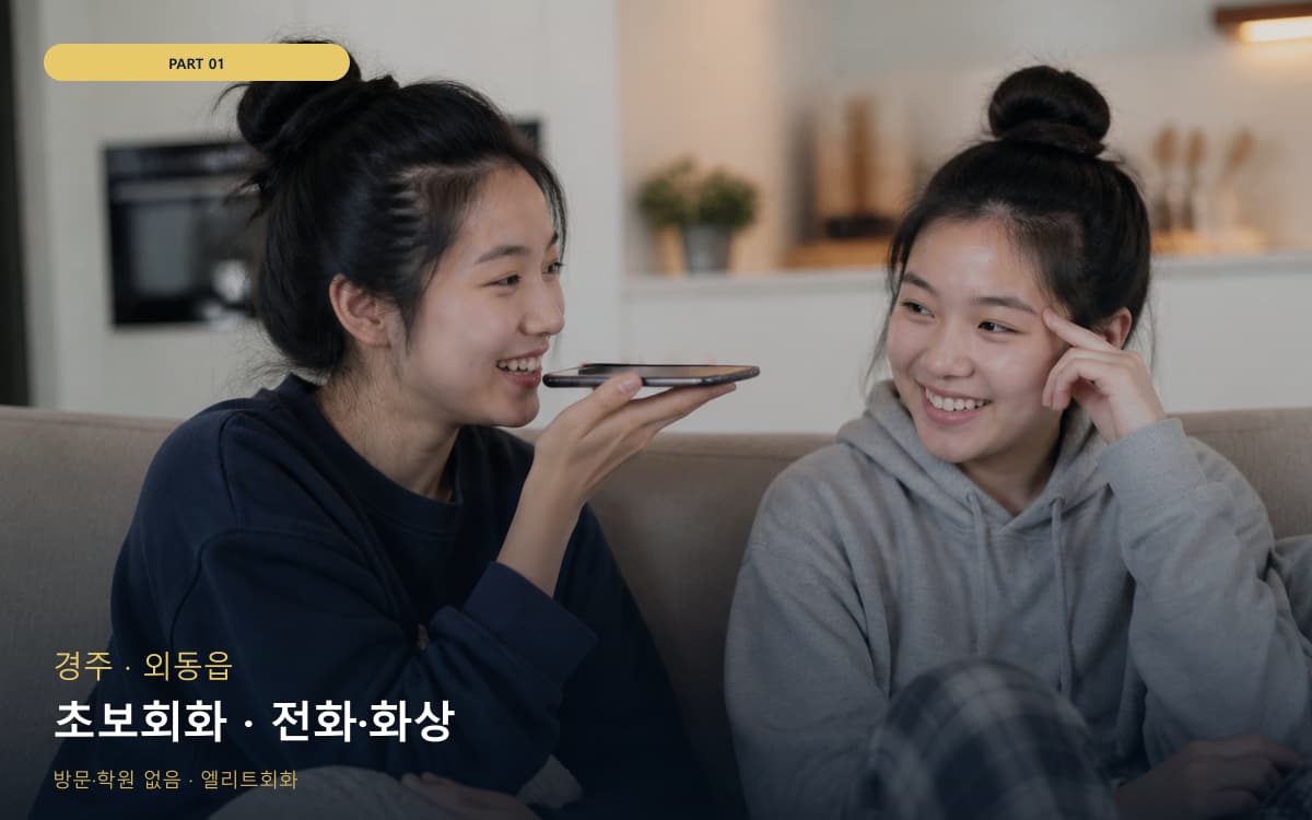 초보회화 · 전화·화상