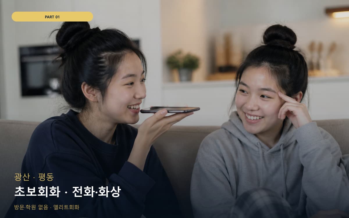 초보회화 · 전화·화상