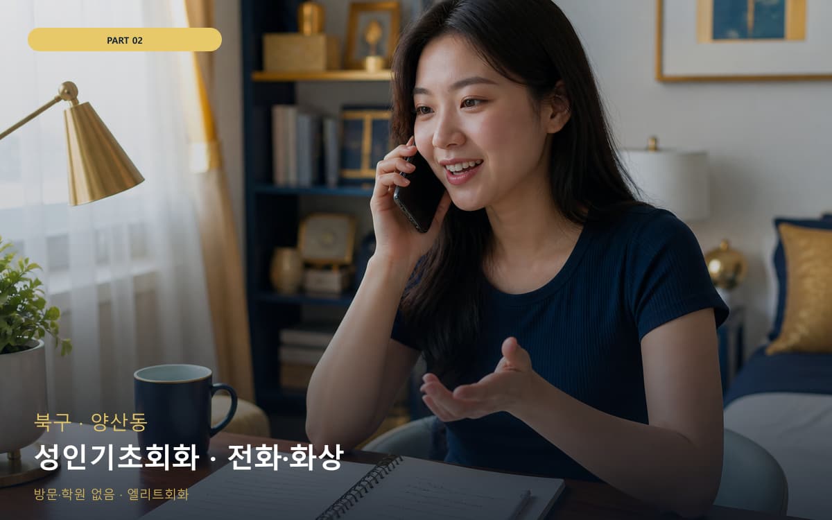 성인기초회화 · 전화·화상