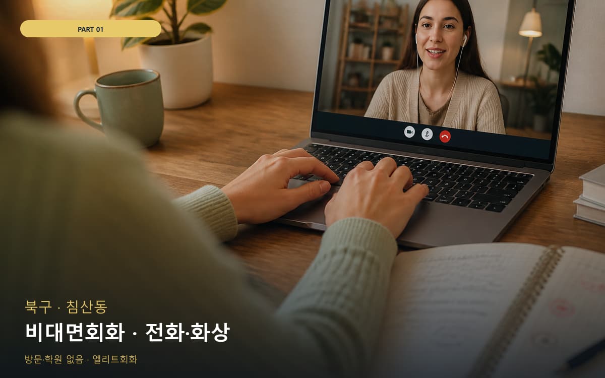 비대면회화 · 전화·화상