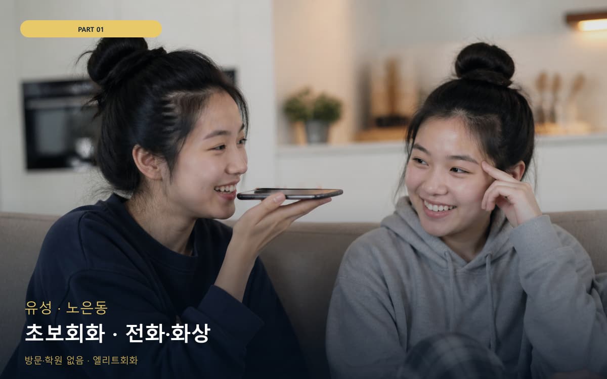 초보회화 · 전화·화상