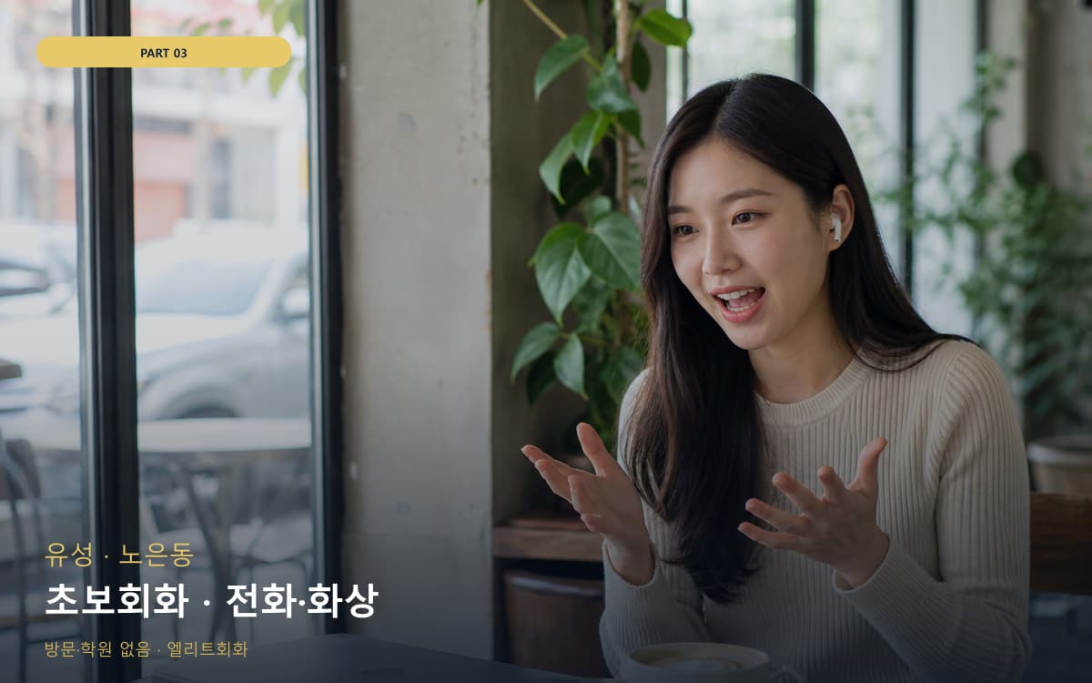 초보회화 · 전화·화상