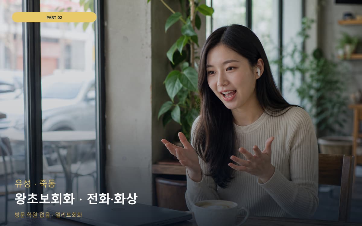 왕초보회화 · 전화·화상