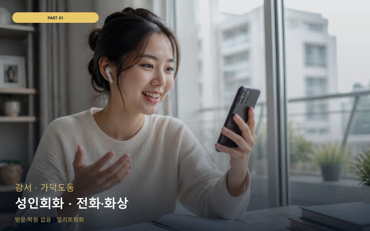 성인회화 · 전화·화상