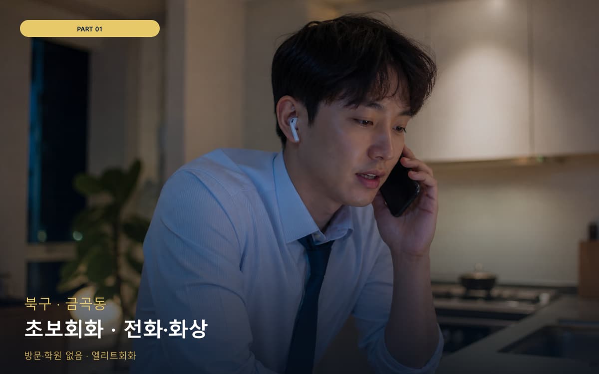 초보회화 · 전화·화상