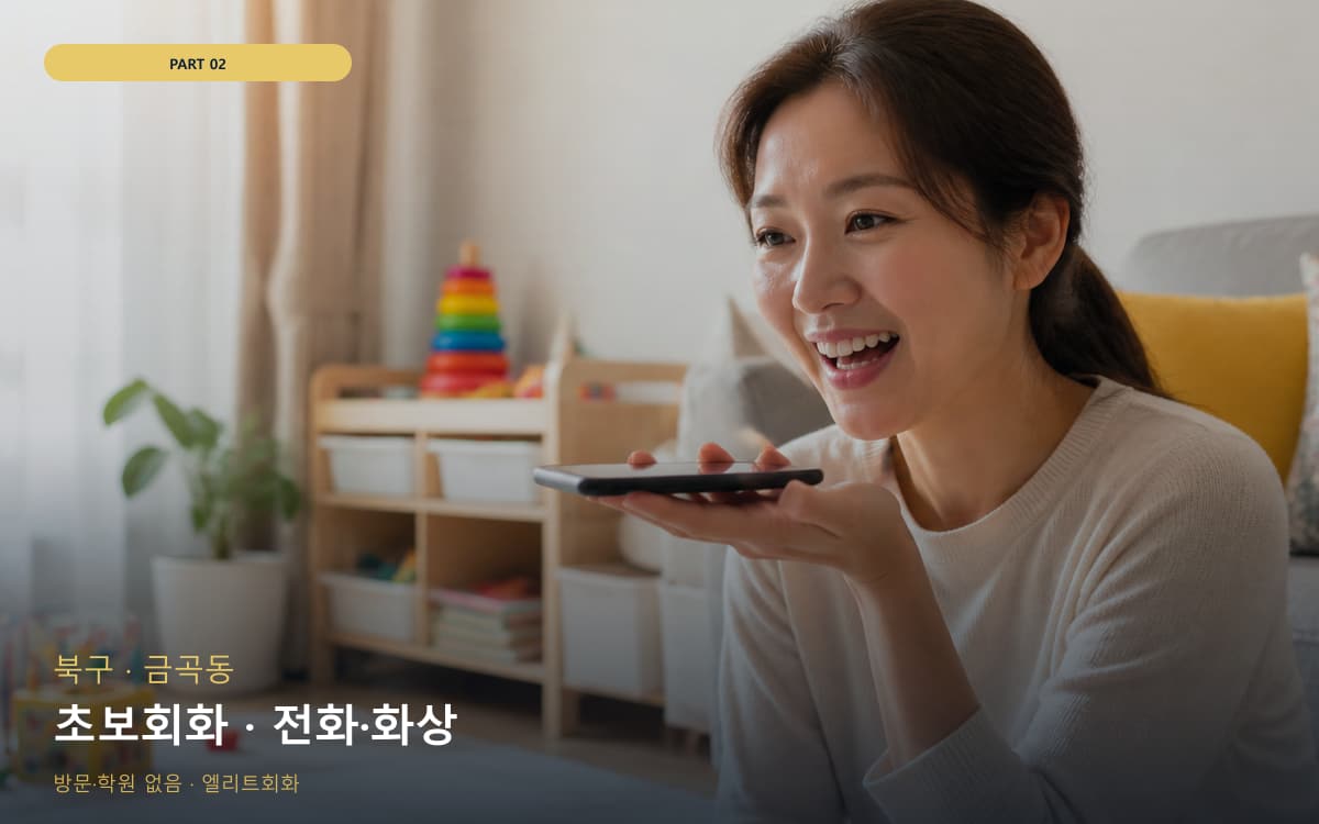 초보회화 · 전화·화상