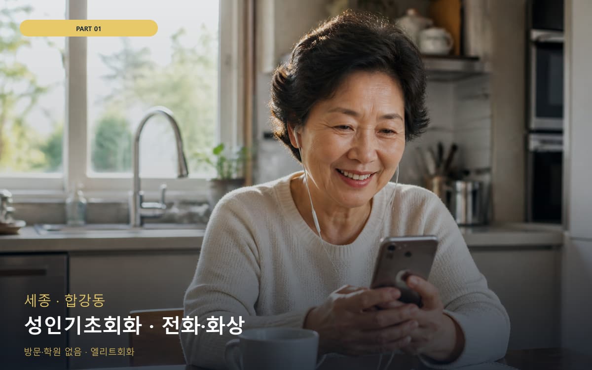 성인기초회화 · 전화·화상