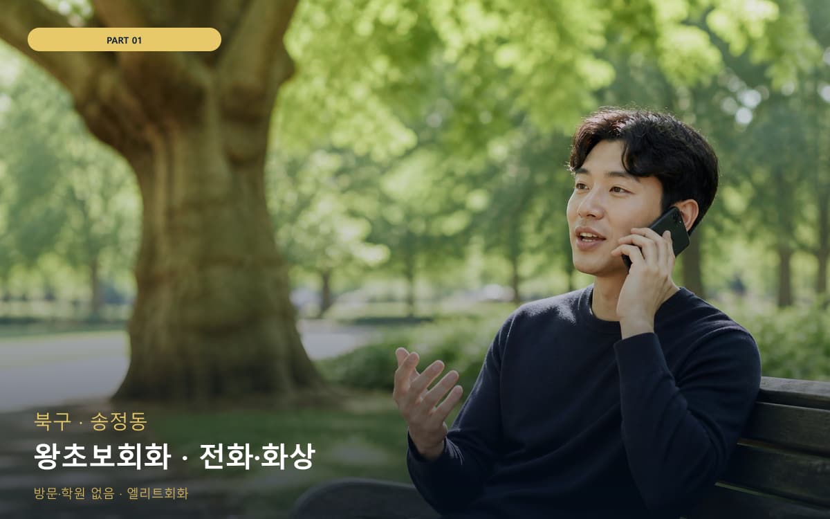 왕초보회화 · 전화·화상