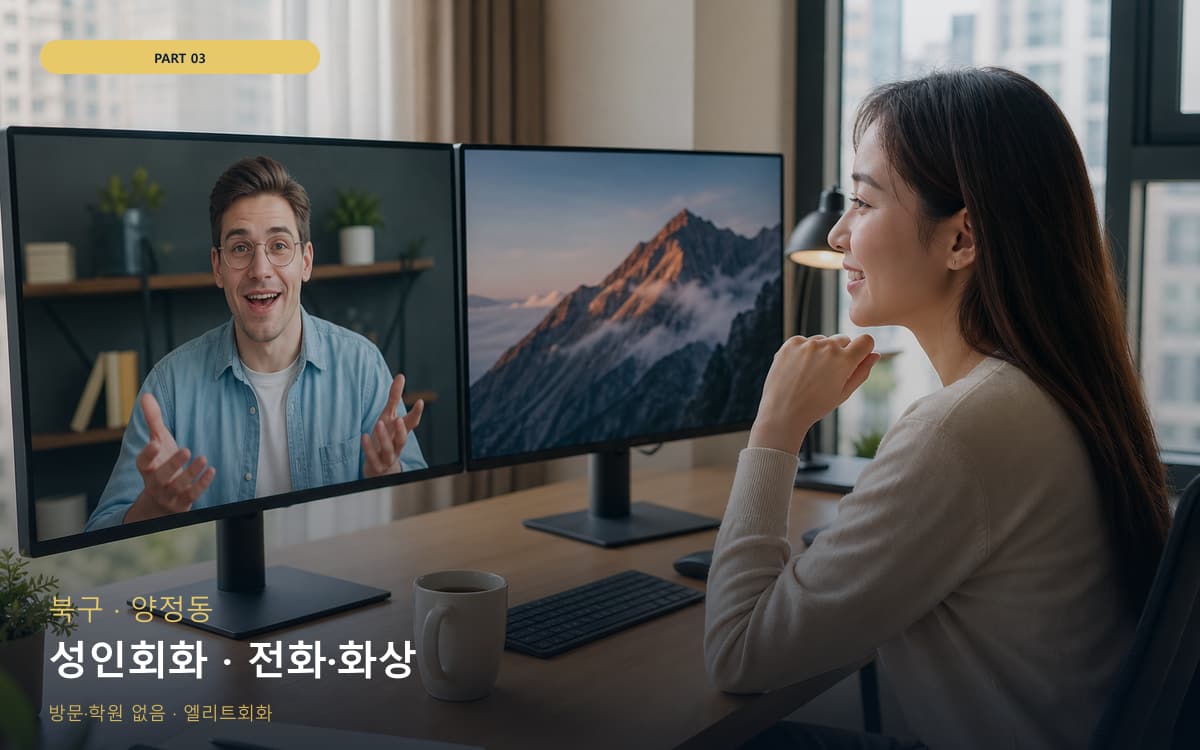 성인회화 · 전화·화상
