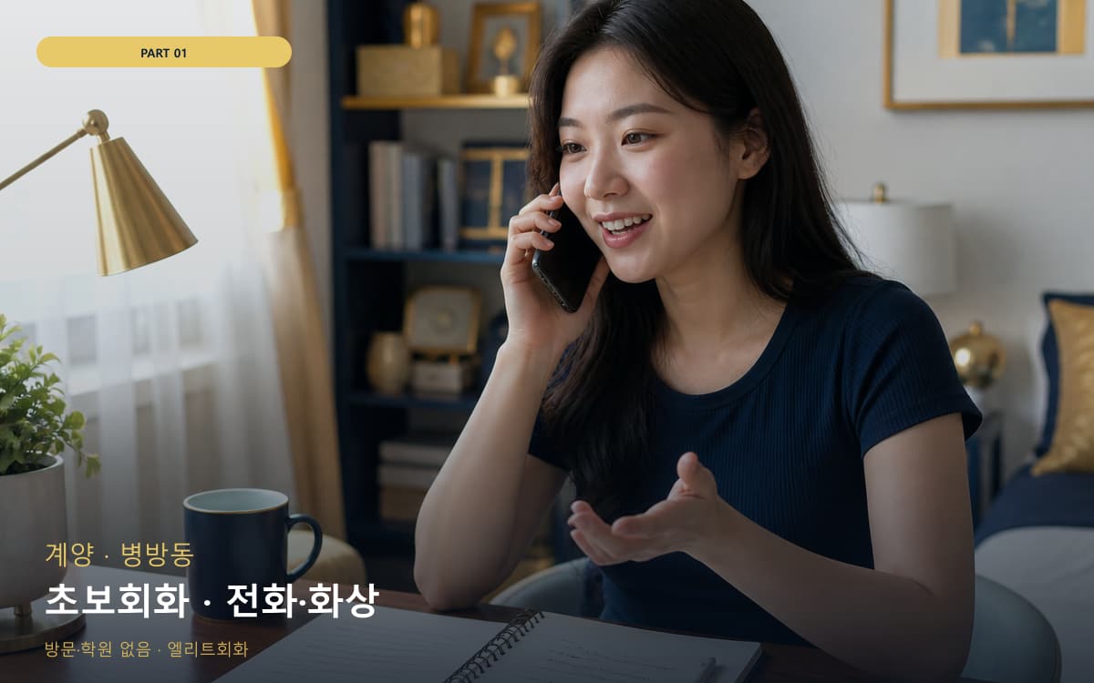 초보회화 · 전화·화상