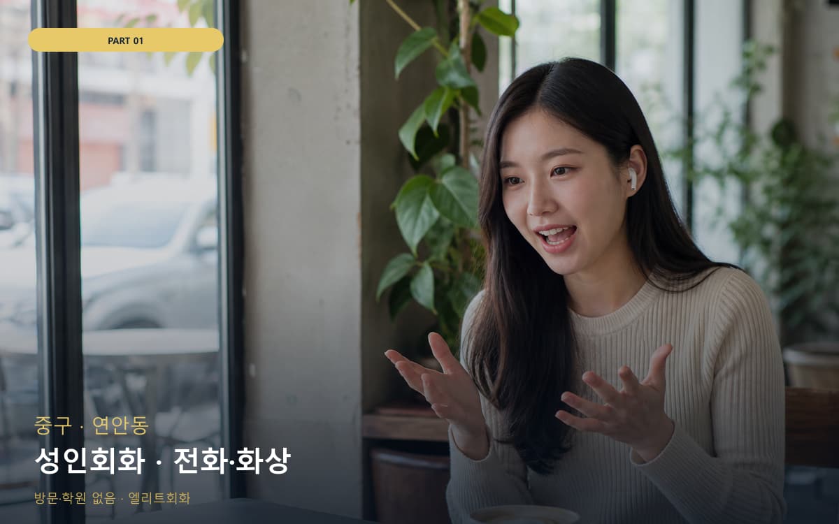 성인회화 · 전화·화상