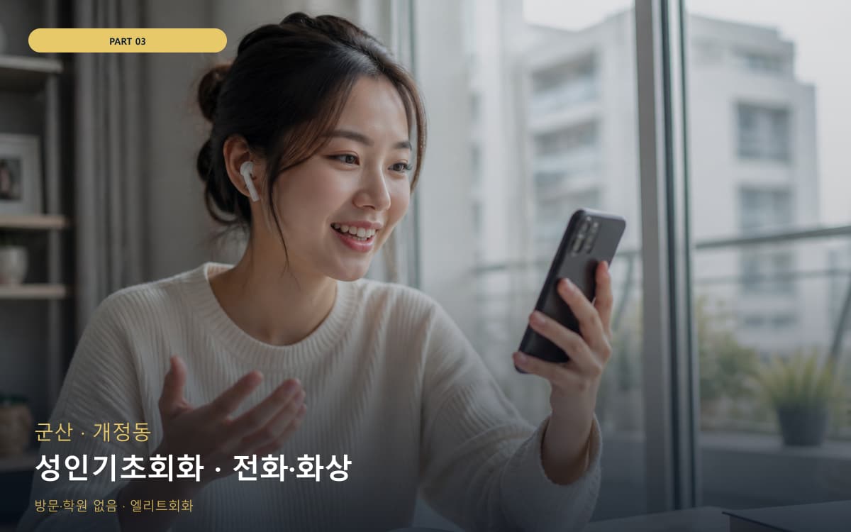 성인기초회화 · 전화·화상