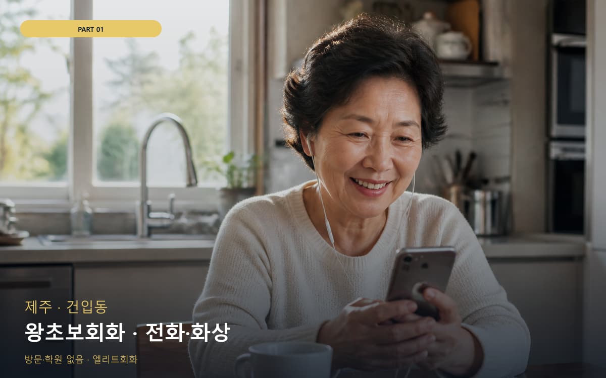 왕초보회화 · 전화·화상
