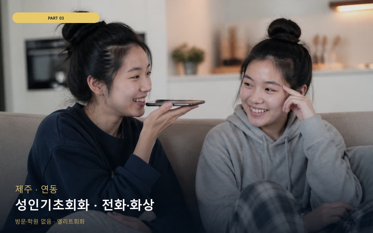 성인기초회화 · 전화·화상