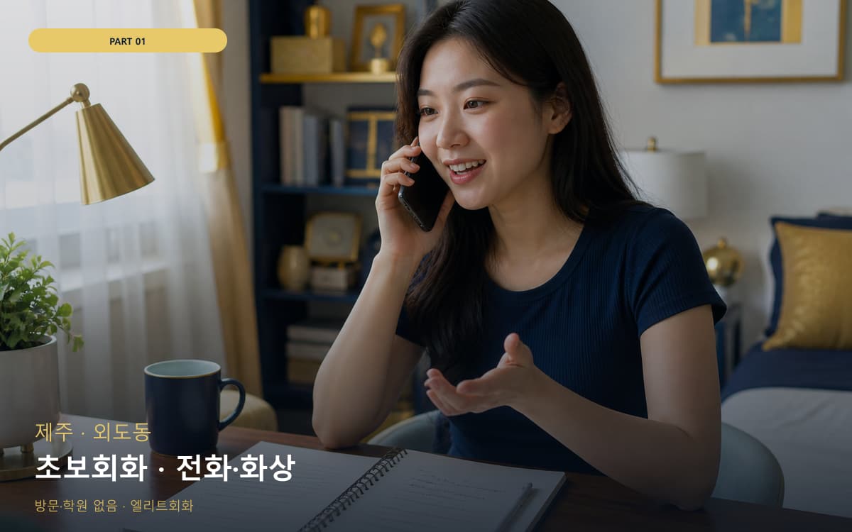 초보회화 · 전화·화상