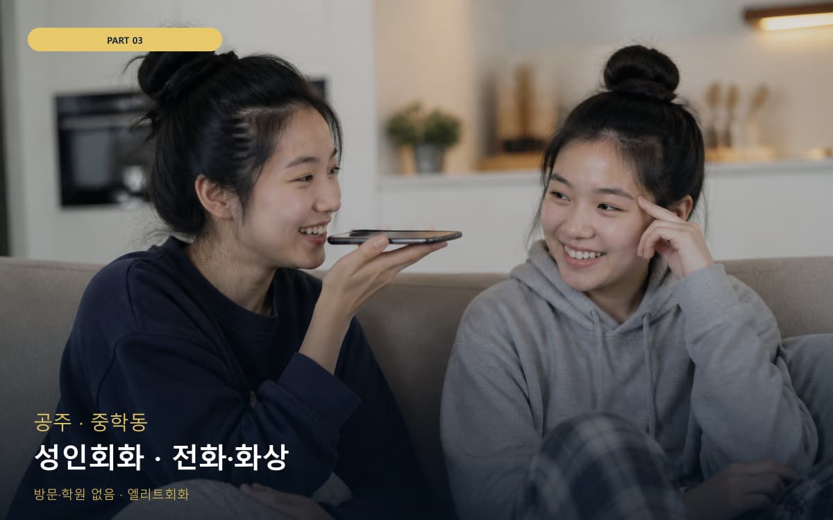 성인회화 · 전화·화상