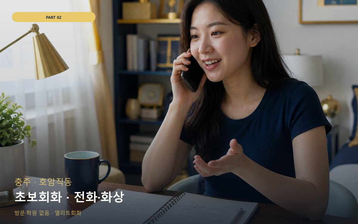 초보회화 · 전화·화상